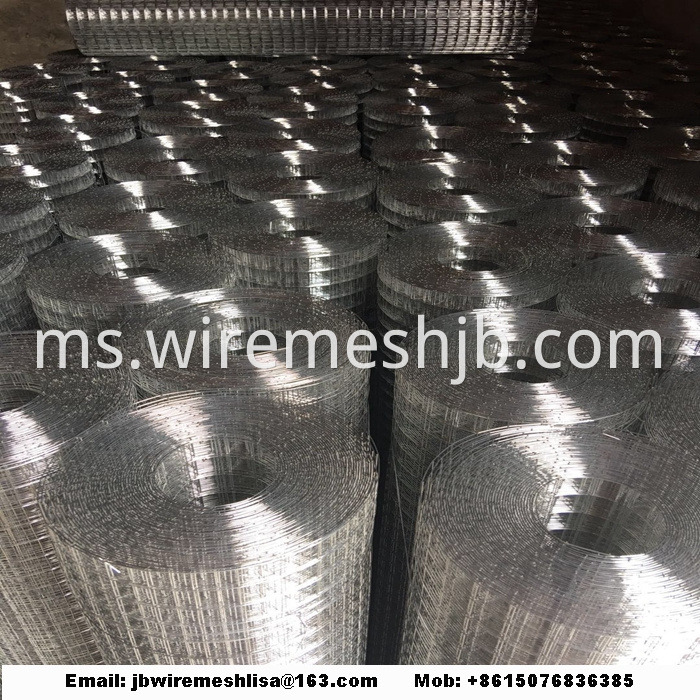 Welded Wire Mesh Galvanized Welded Wire Mesh Roll